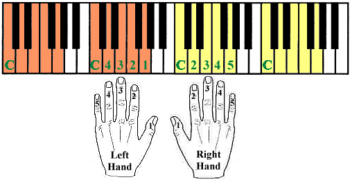 picture of c hand position on piano keyboard